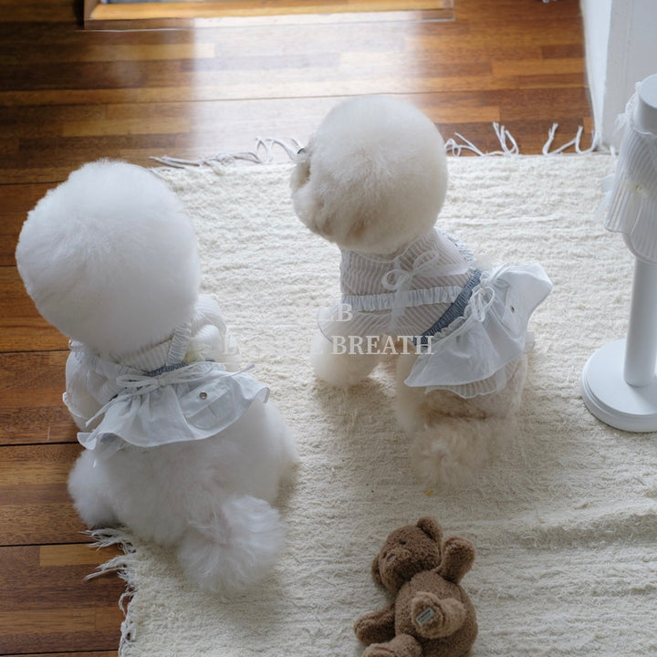 ※予約販売【BeBe Breath】White Low Rise Bustier