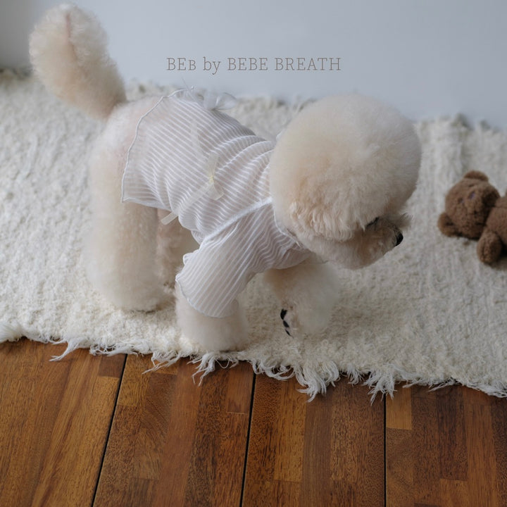 ※予約販売【BeBe Breath】Middle-Neck Sheer Top（White）