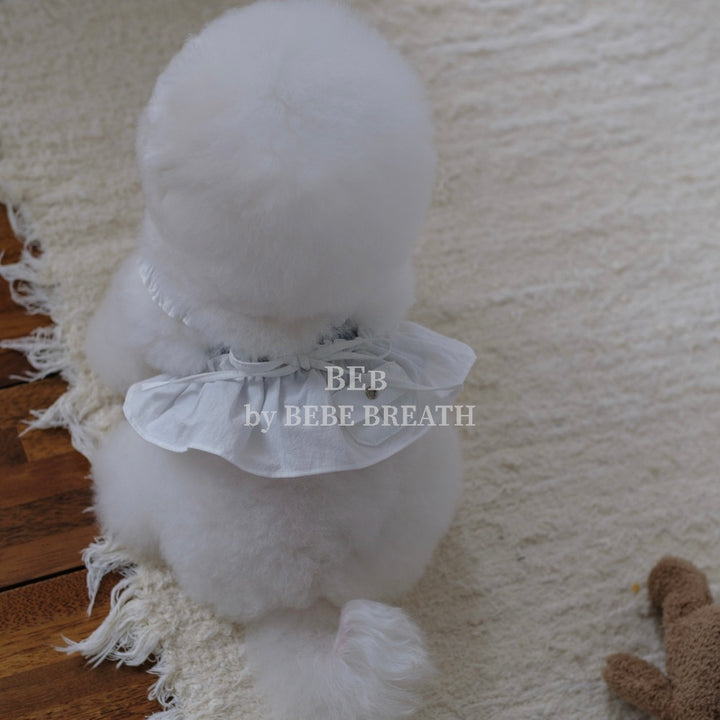 ※予約販売【BeBe Breath】White Low Rise Bustier