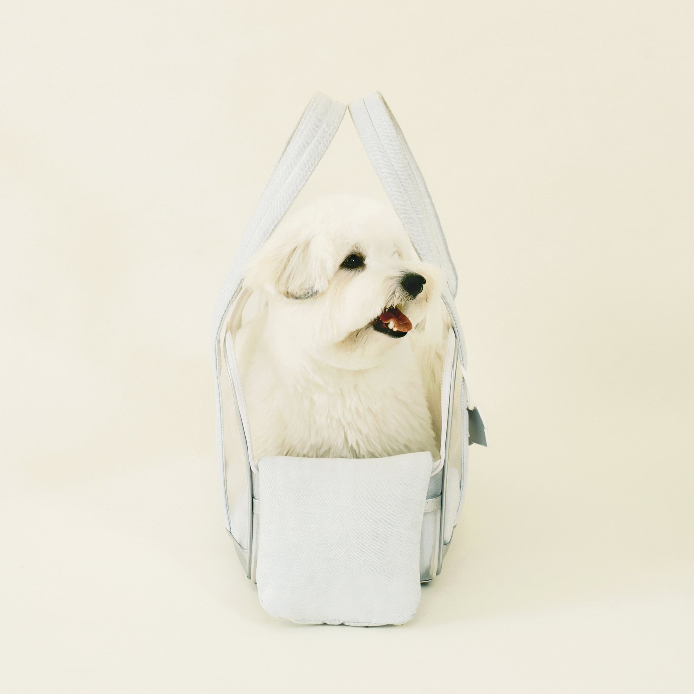 海外犬服 高品質なインポートのドッグウェア通販 