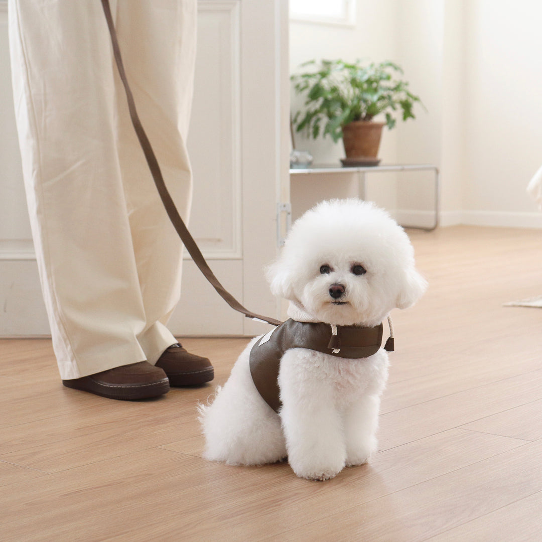 即納【DURANG RURANG】Daily Leather Leash