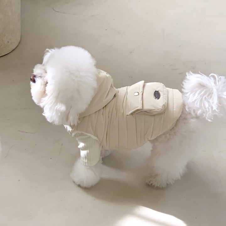 ※予約販売【DURANG RURANG】Teddy Bear Basic T（6color）