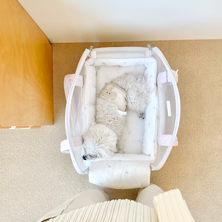 ※予約販売【seoru】Mesh Ballon Bag（Ivory & Pink）※LINE＆メルマガ限定先行SALE対象外｜犬用バッグ