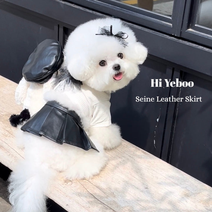 ※予約販売【Hi Yeboo】Seine Leather Skirt