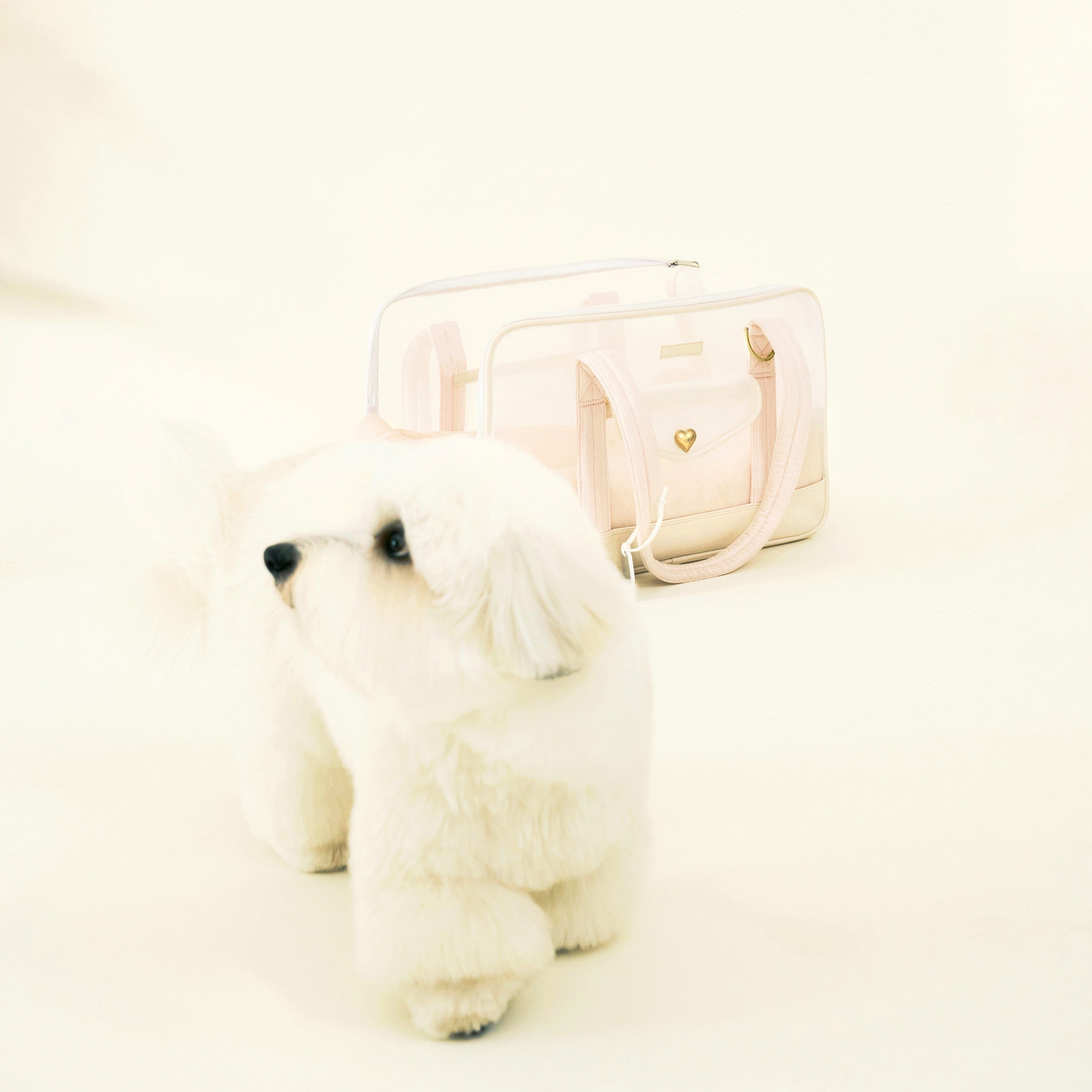 海外犬服 高品質なインポートのドッグウェア通販 