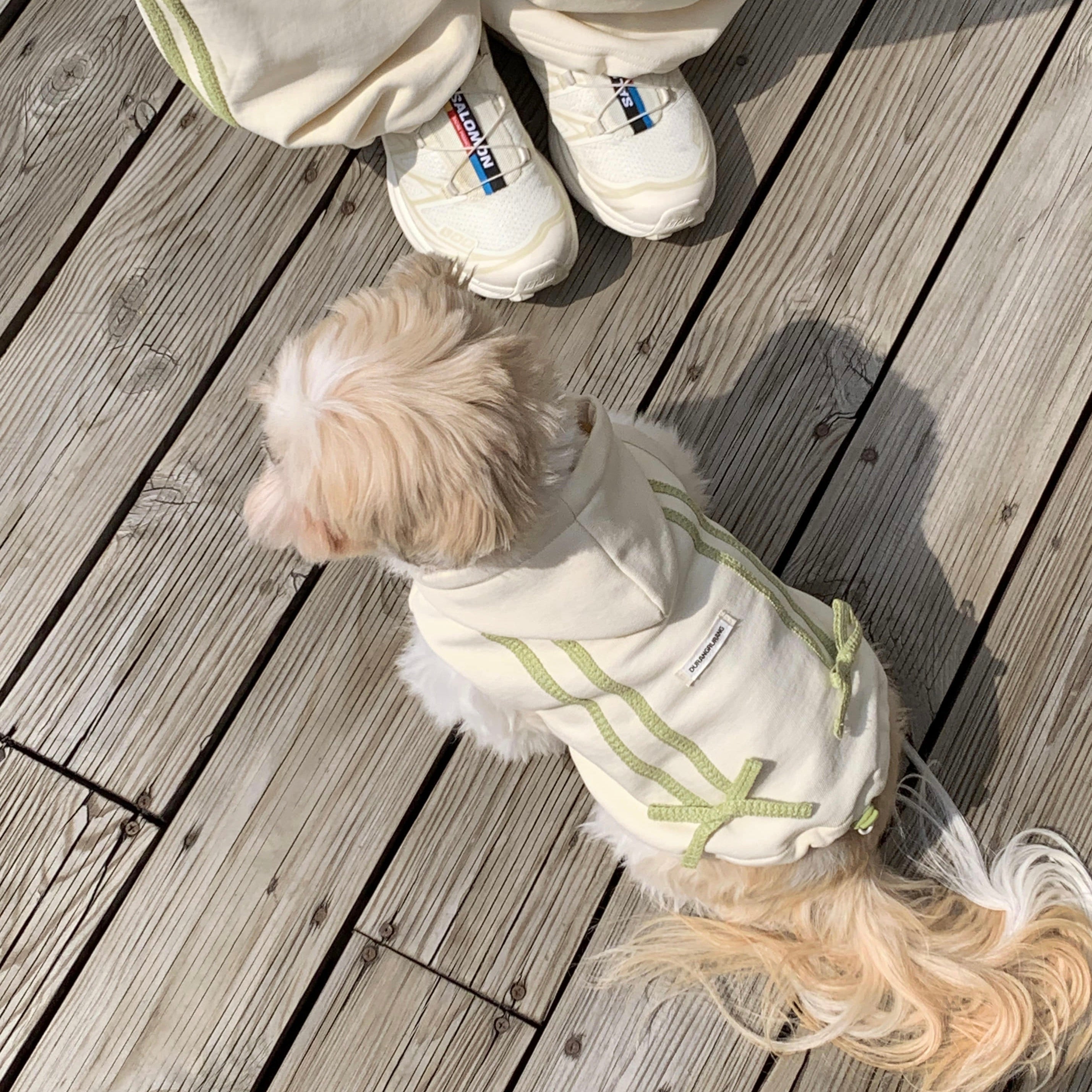 海外犬服 高品質なインポートのドッグウェア通販 
