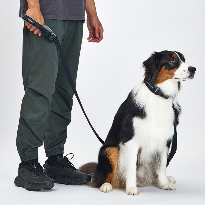 ※予約販売【munikund】TREKTAIL Collar - Black