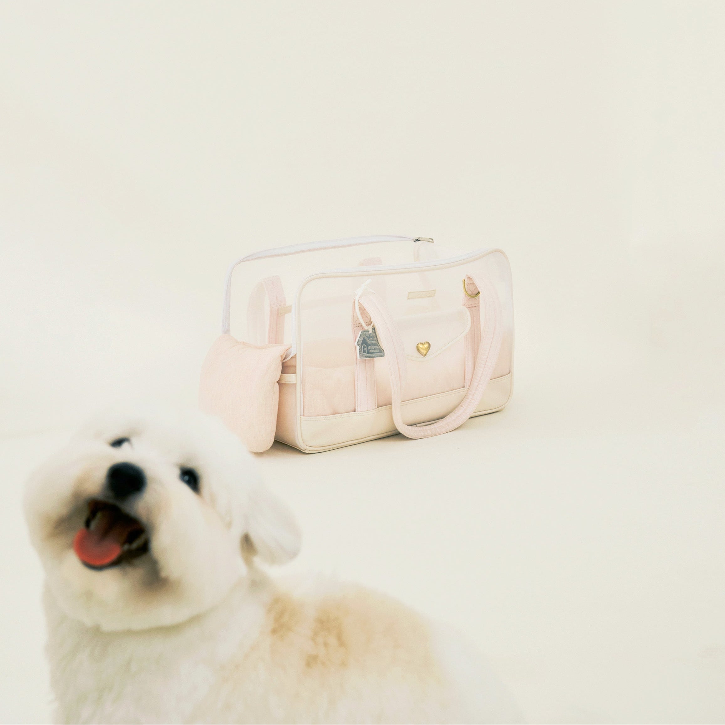 海外犬服 高品質なインポートのドッグウェア通販 