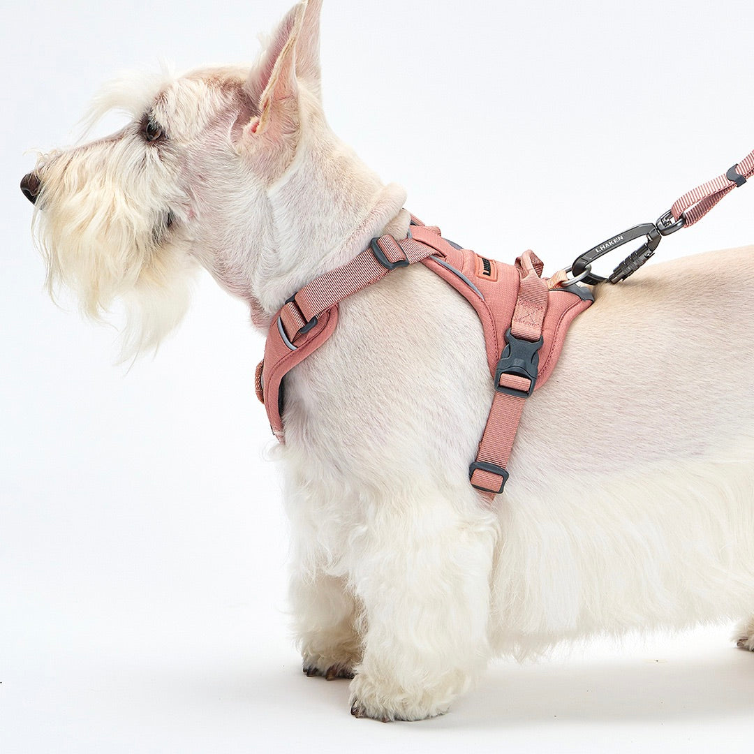 ※予約販売【munikund】TREKTAIL Harness - Pink ｜犬用ハーネス