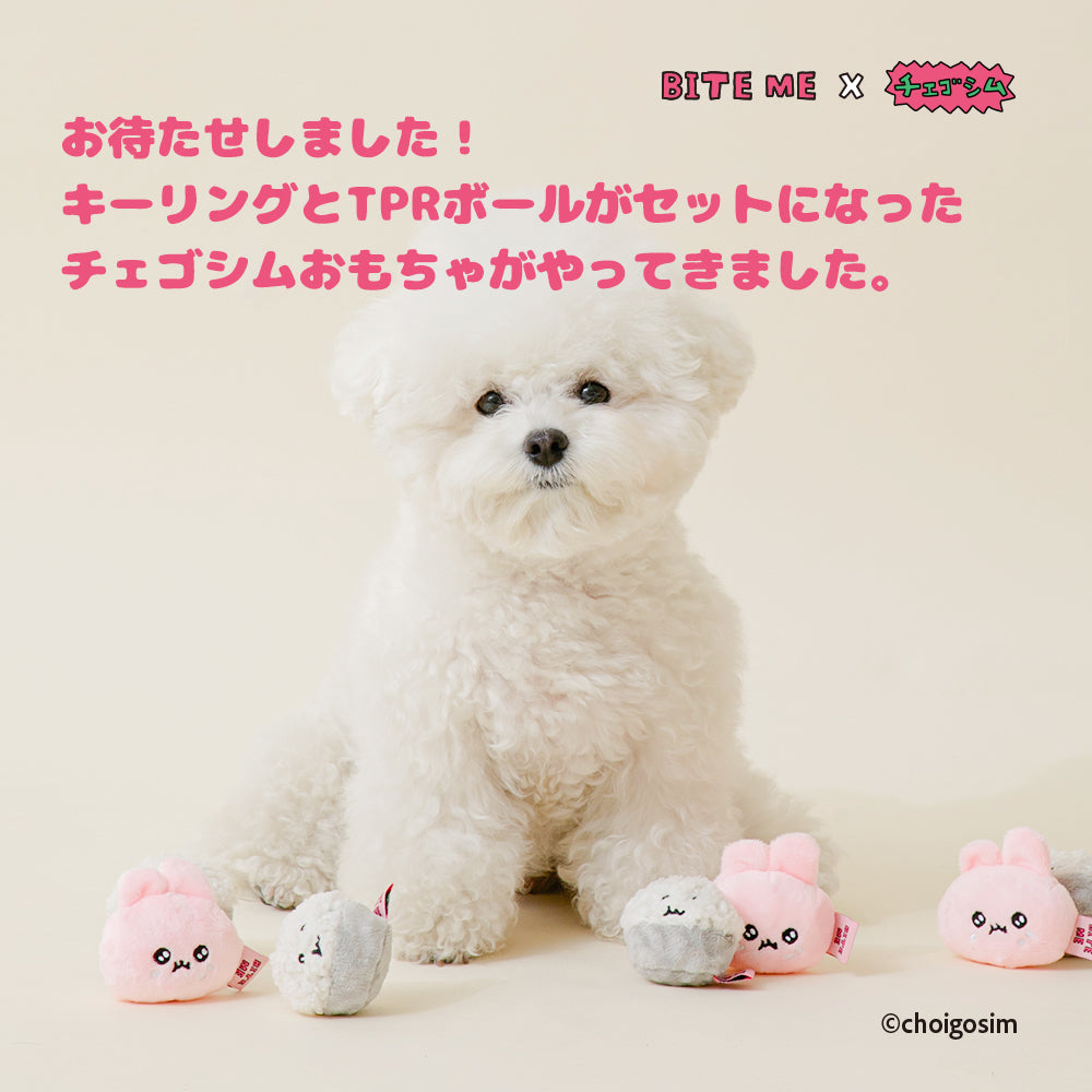 即納【BITE ME】BITE ME × CHOIGOSIM Usagoshim & Gohan Goshim Toy Set
