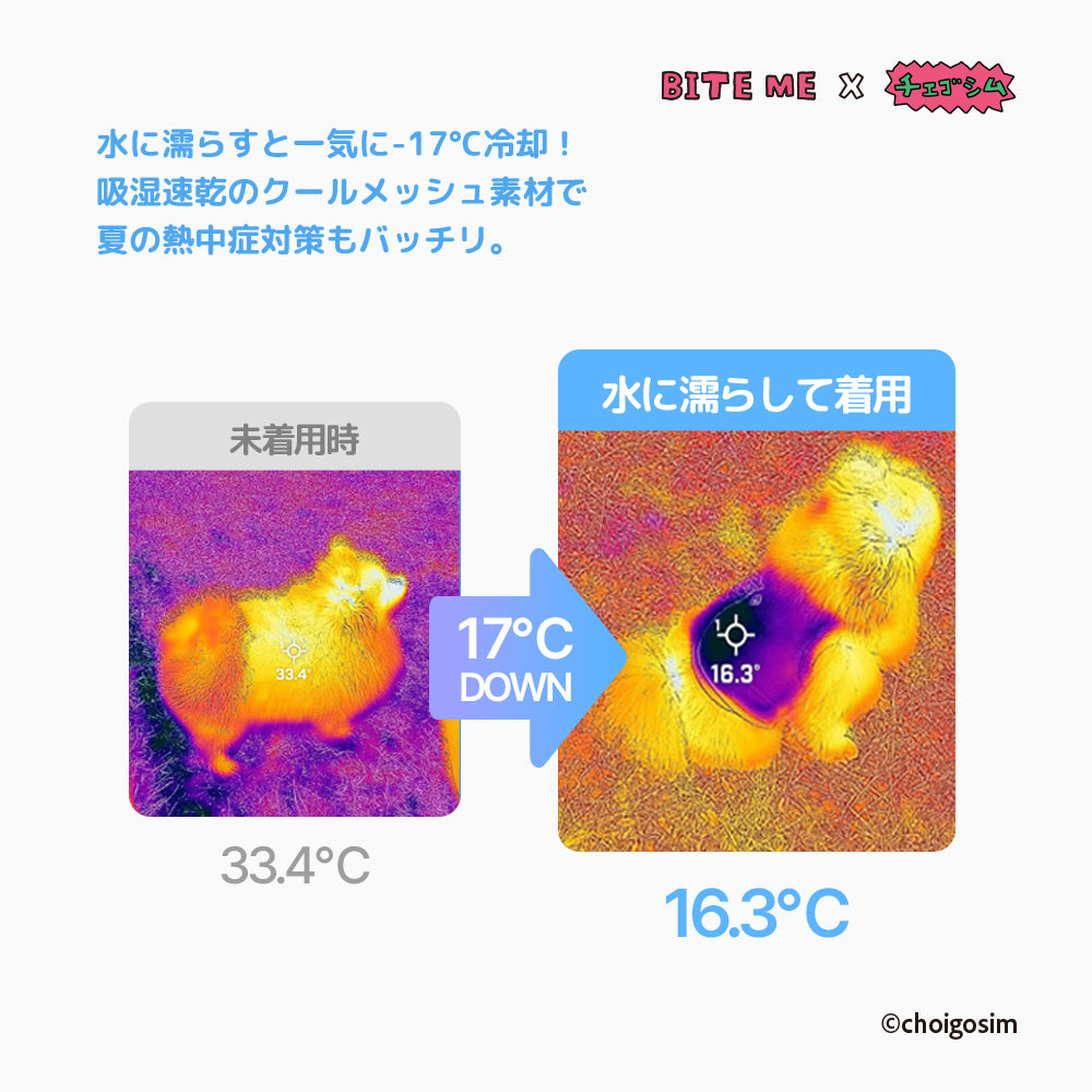 即納【BITE ME】BITE ME × CHOIGOSIM Message Cool Sleeveless（3 colors）