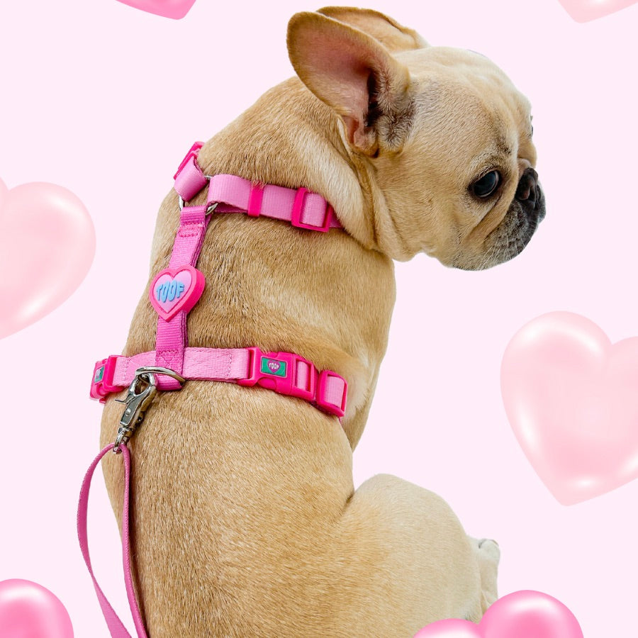 即納【TOOF】HEART LOGO LEASH