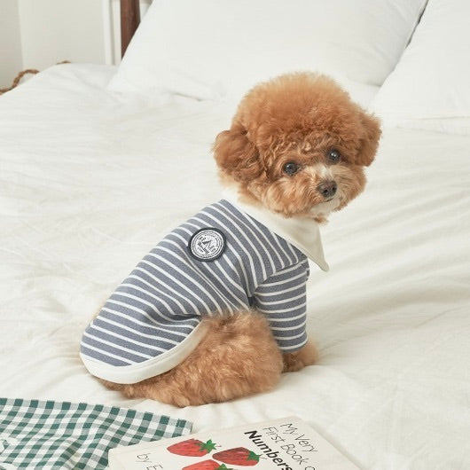※予約販売【Bailey】Roy Collar T-shirt（Chic Gray）