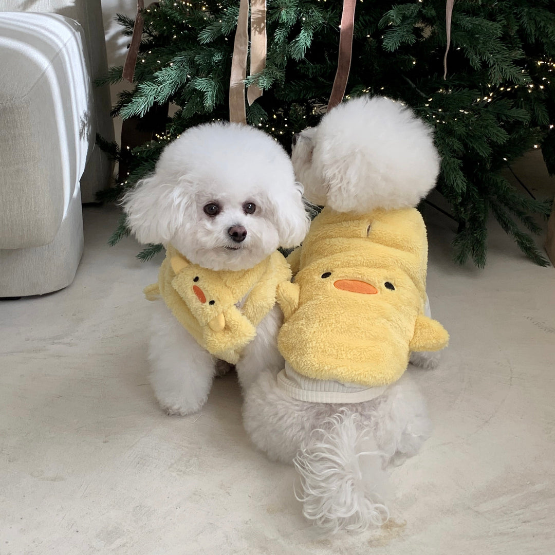 ※予約販売【DURANG RURANG】Teddy Bear Basic T（6color）