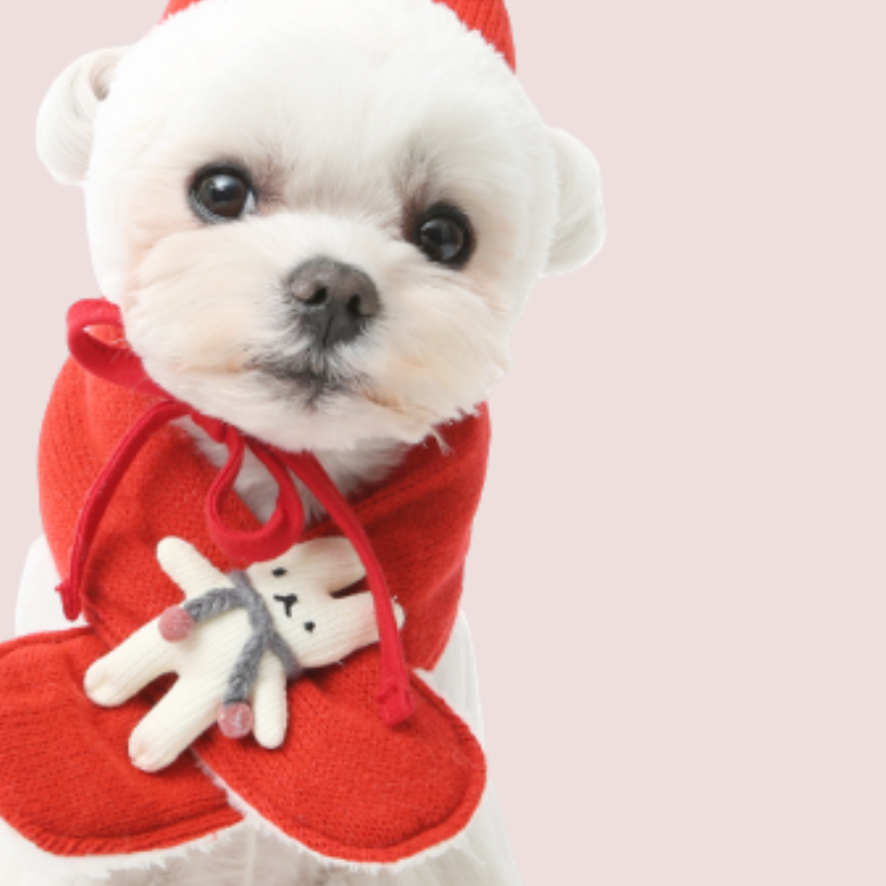 ※予約販売【ITS DOG】Hey bunny knitwear muffler (red)