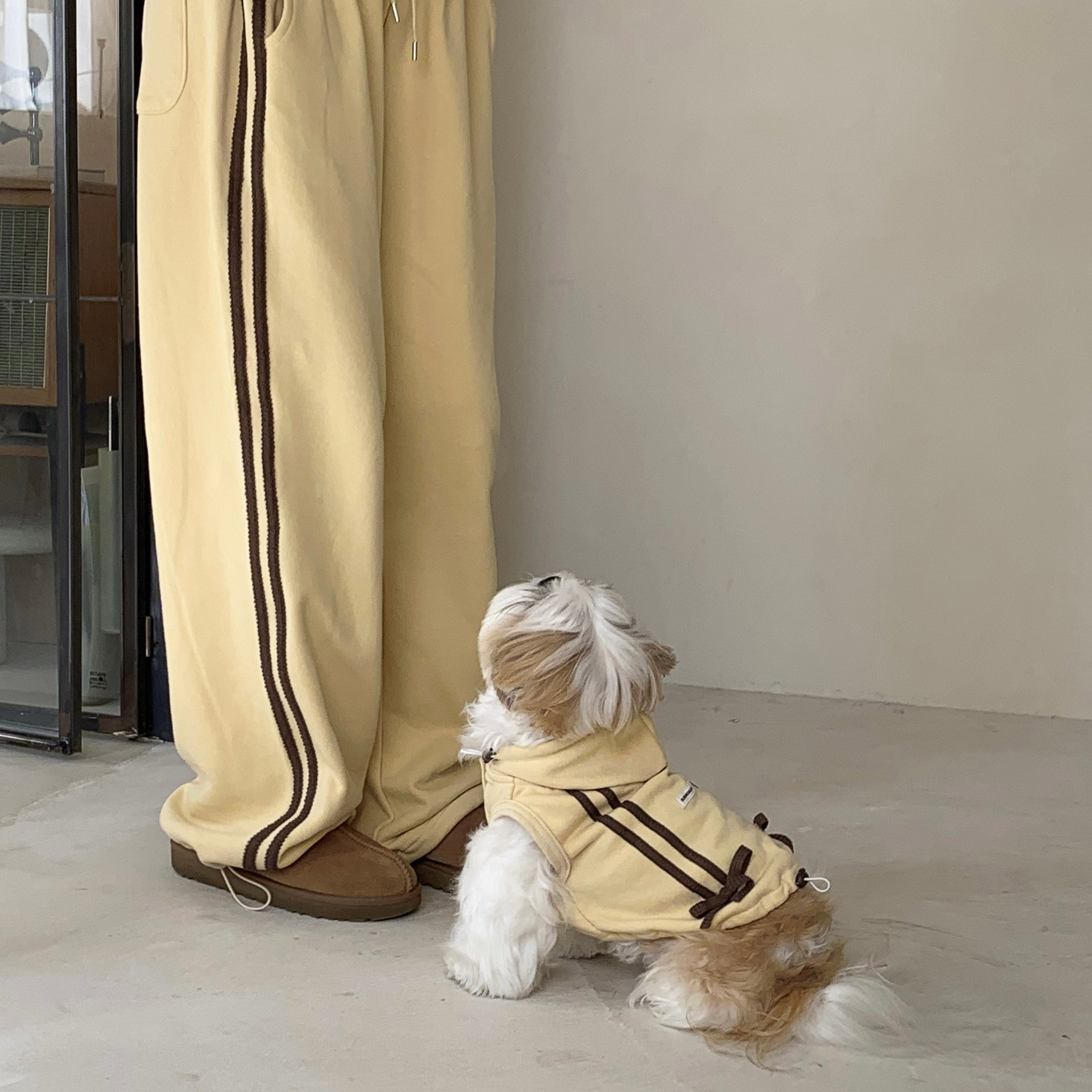海外犬服 高品質なインポートのドッグウェア通販 