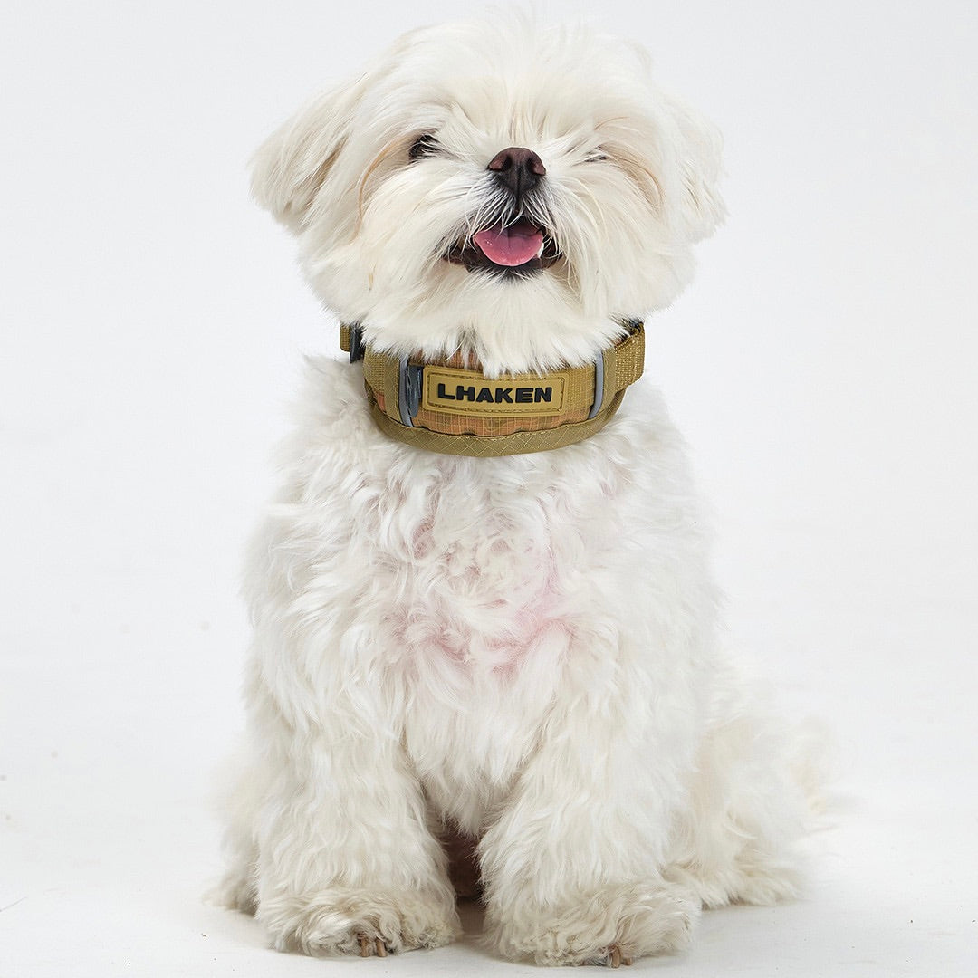 ※予約販売【munikund】TREKTAIL Collar - Beige