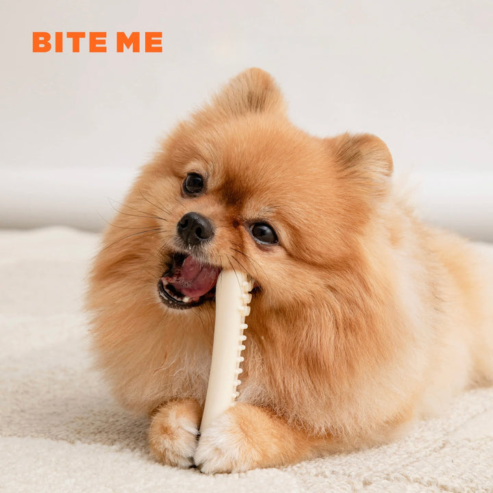 ※予約販売【BITE ME】Buddy Bone Nylon Toy