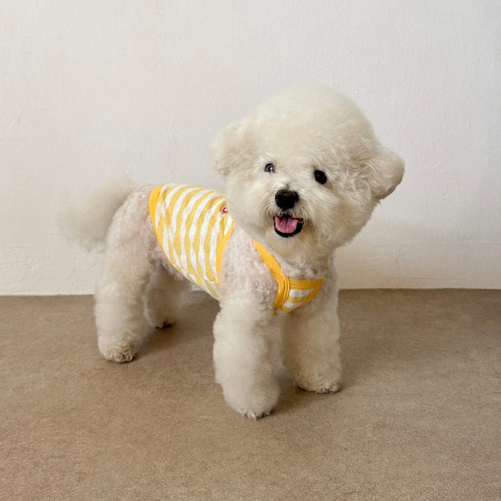 ※予約販売【CRR】Marine Stripe Strap Top（Yellow）