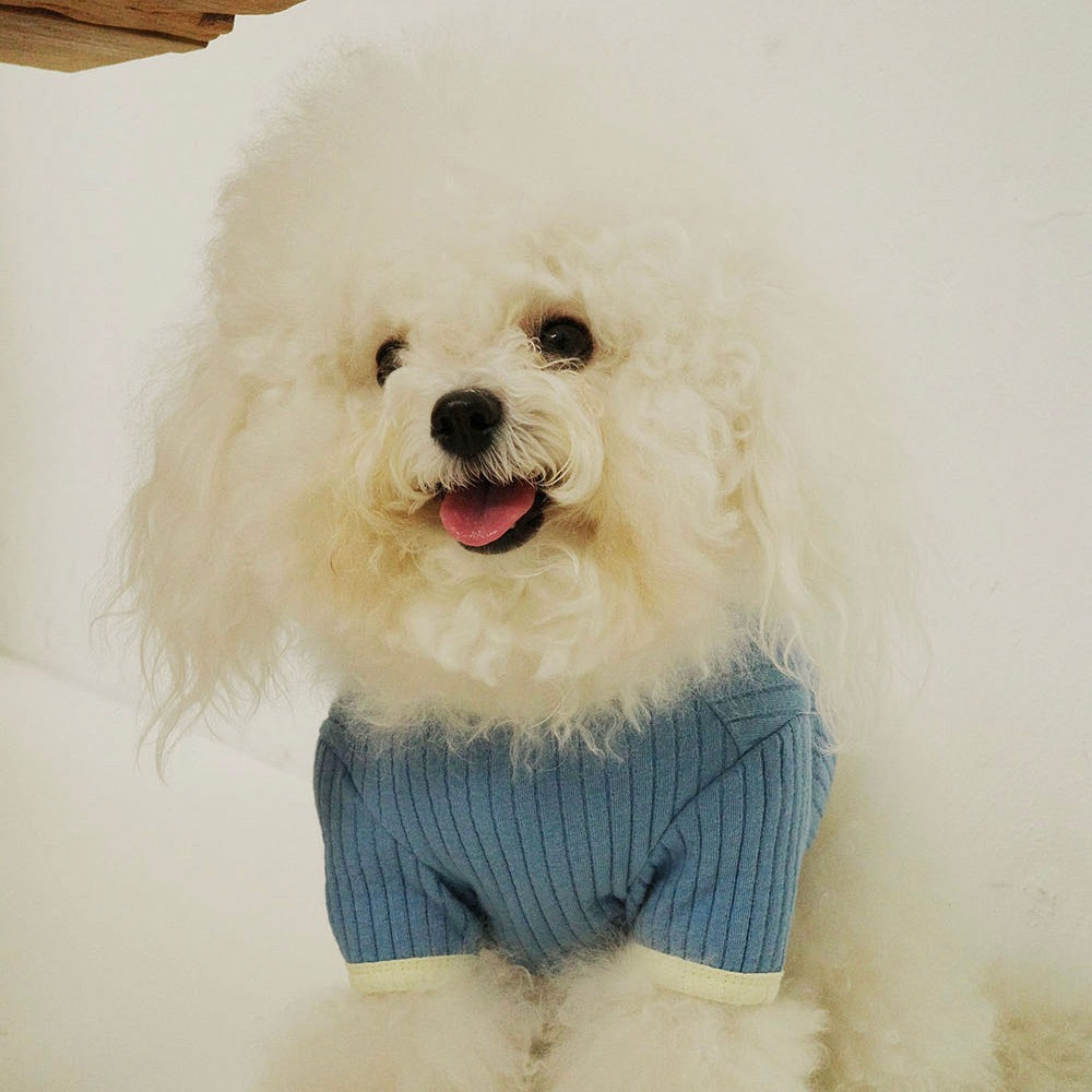 即納【noonoosoom】All day crop top（Sky）