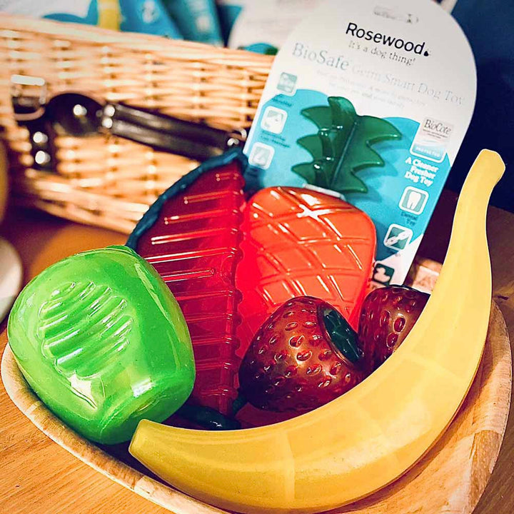 即納【Rosewood】Biosafe toy（fruit Strawberry）