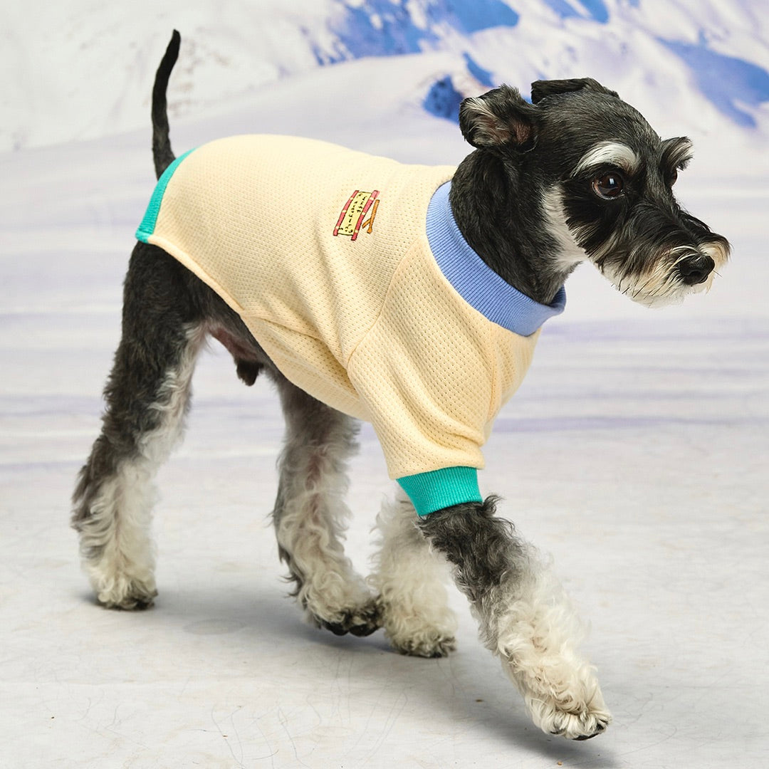 ※予約販売【munikund】Wuff Pullover（Yellow）