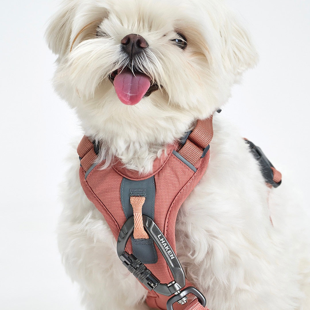 ※予約販売【munikund】TREKTAIL Harness - Pink ｜犬用ハーネス