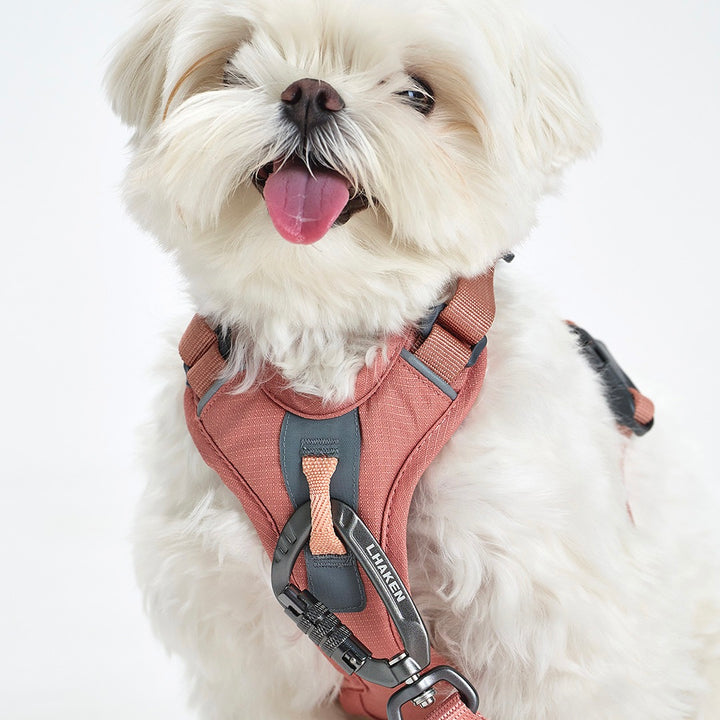 ※予約販売【munikund】TREKTAIL Harness - Pink ｜犬用ハーネス