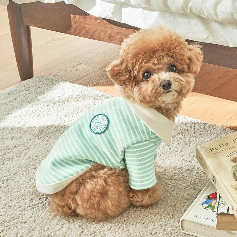 ※予約販売【Bailey】Roy Collar T-shirt（Mint Melon）
