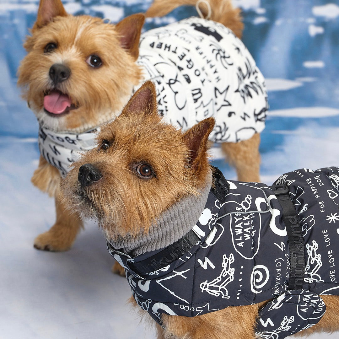 ※予約販売【munikund】munikund × INAPSQUARE Thermal Up Padding Air 2 - INAP（Black）