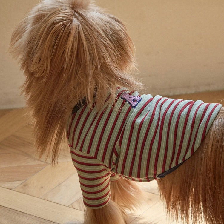 ※予約販売【andblank】A Stitch SoftWarm Stripe Short Sleeve（Green）