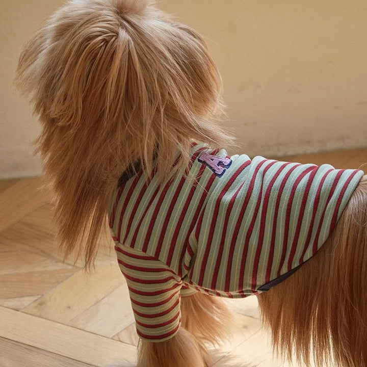 ※予約販売【andblank】A Stitch SoftWarm Stripe Short Sleeve（Green）