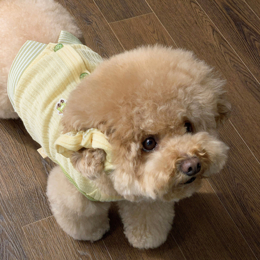 ※予約販売【DURANG RURANG】Reversible Ear Shushu