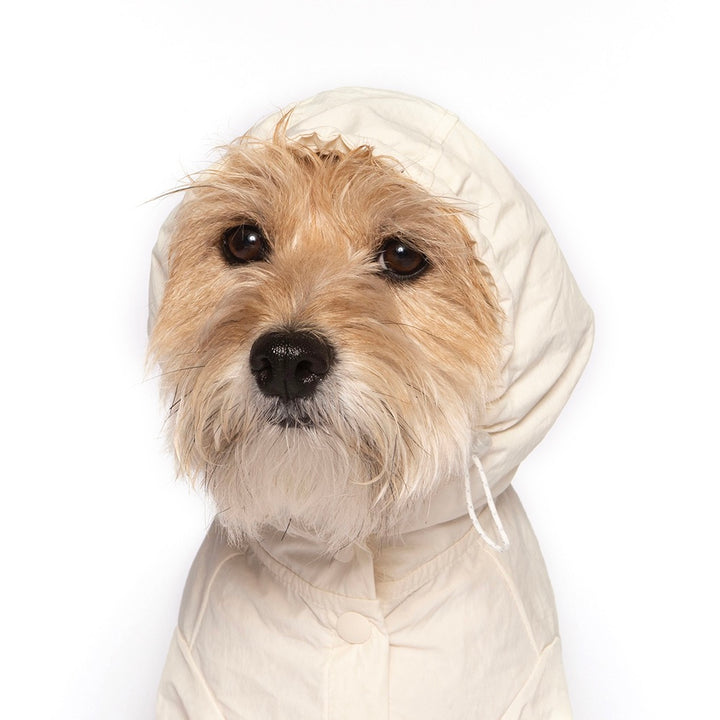 即納【noonoosoom】Rain jacket（Ivory）