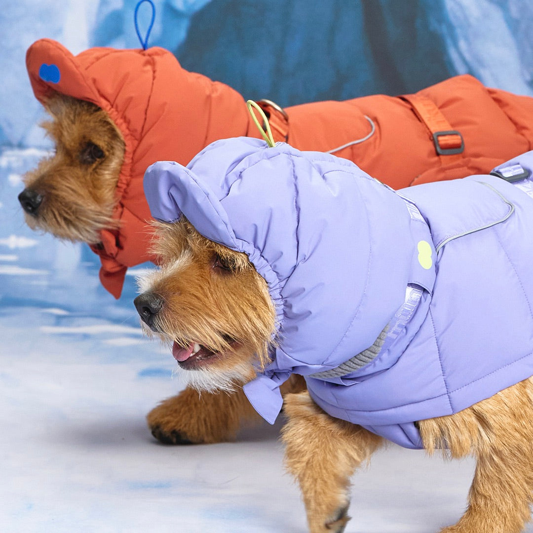 ※予約販売【munikund】Thermal Up Padding Air Cap 2 -（3 Colors）