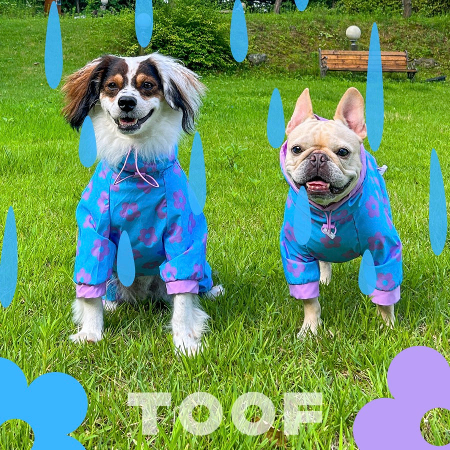TOOF レインコート 海外犬服 高品質なインポートのドッグウェア通販 