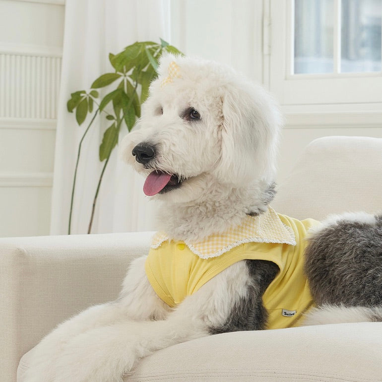※予約販売【Bailey】Cozy Sailor T-shirt（Yellow）