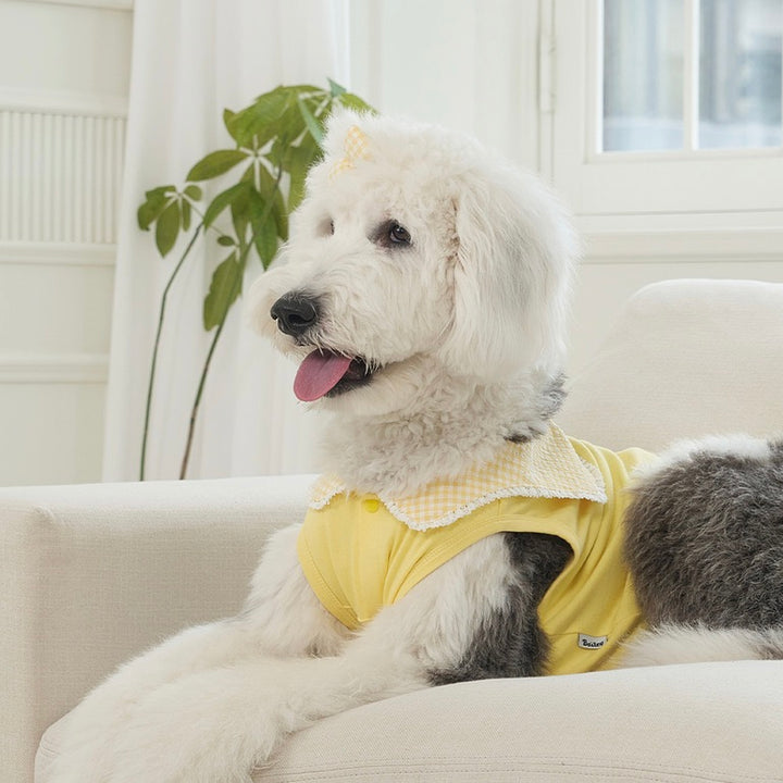 ※予約販売【Bailey】Cozy Sailor T-shirt（Yellow）