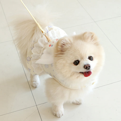 ※予約販売【ITS DOG】Petit Minyong Angel Harness (Ivory)