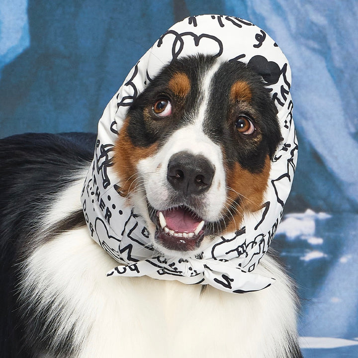 ※予約販売【munikund】munikund × INAPSQUARE Thermal Up Padding Air Cap 2 - INAP（2 Colors）