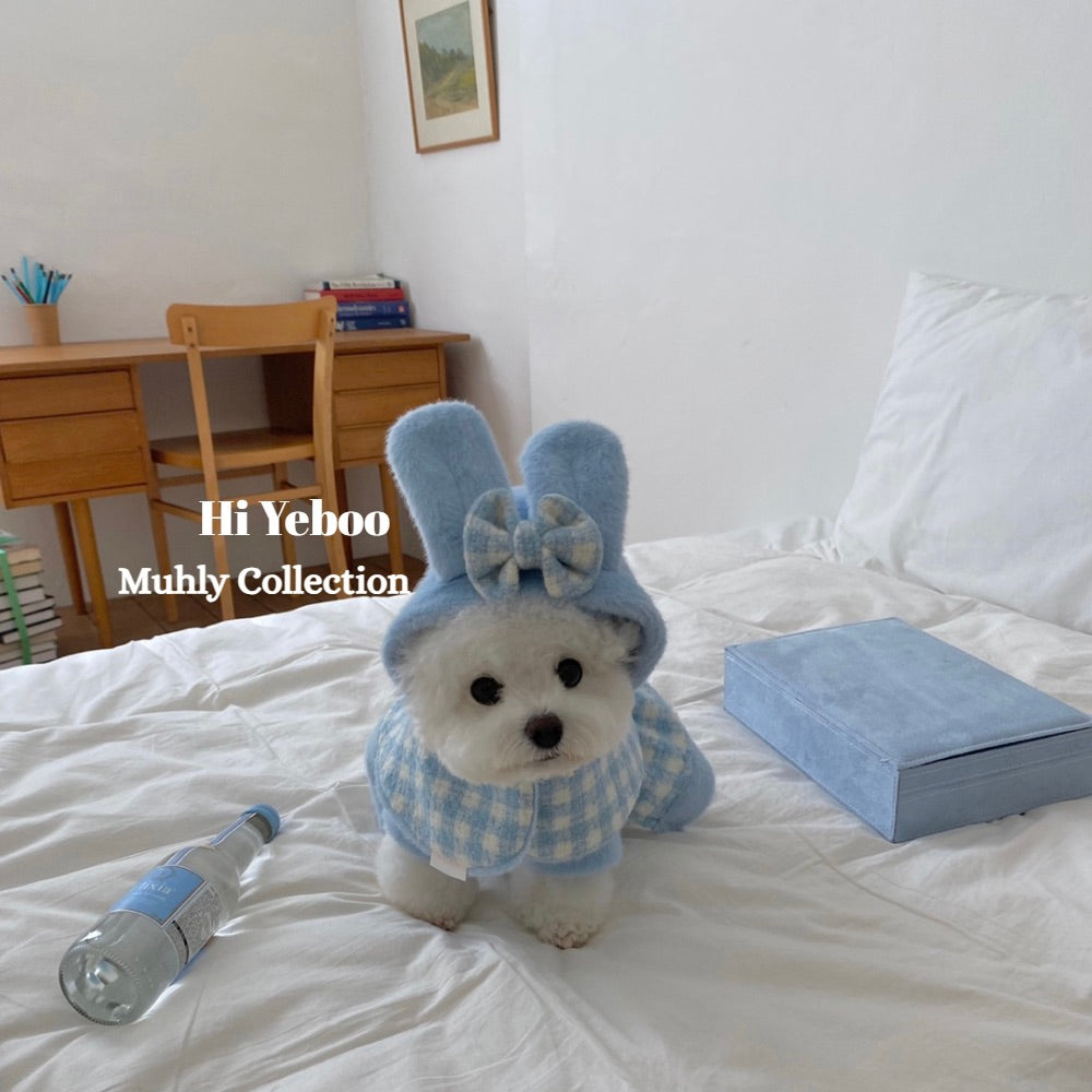 海外犬服 高品質なインポートのドッグウェア通販 