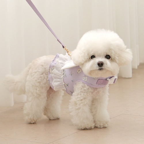 ※予約販売【ITS DOG】Petit Mignon Soft Lead