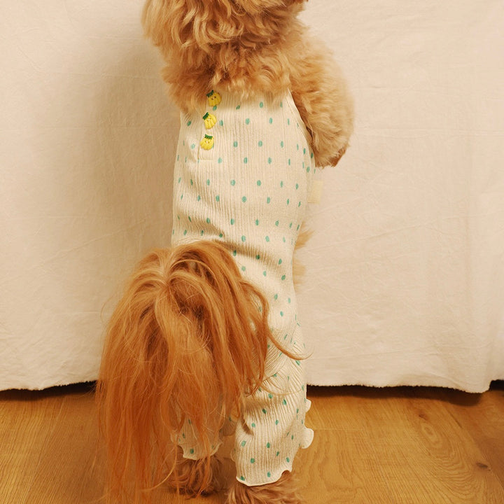 即納【noonoosoom】Fruit button wrinkle all in one（Mint Banana）