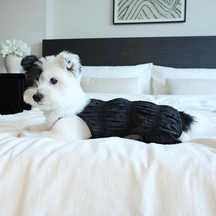 即納【noonoosoom】Blossom puff all in one（Black）