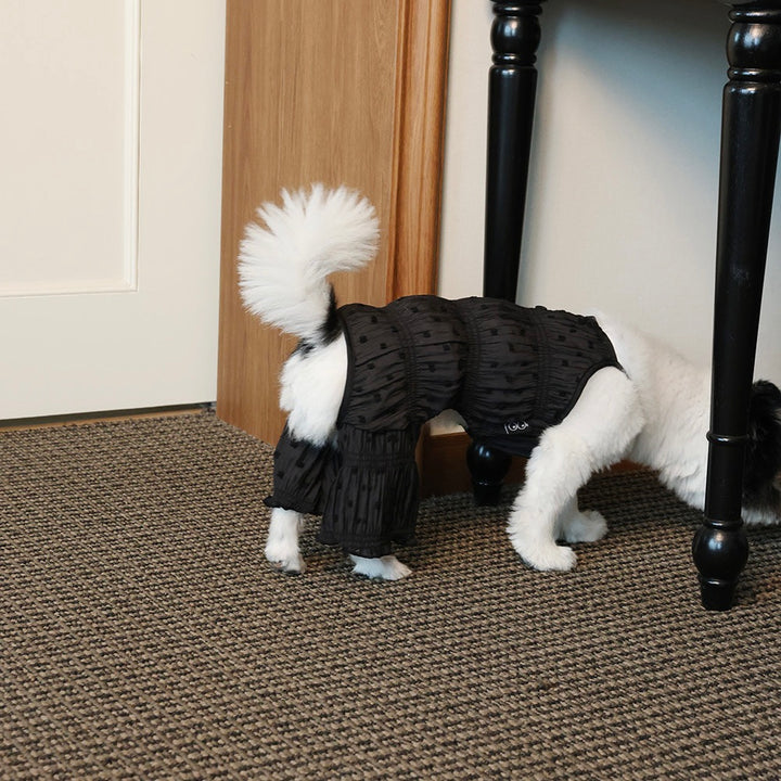 即納【noonoosoom】Blossom puff all in one（Black）