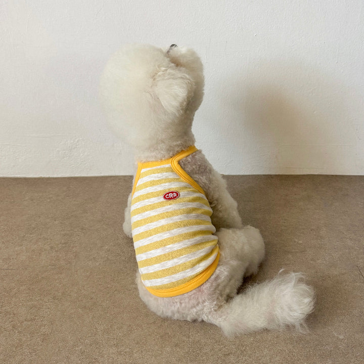 ※予約販売【CRR】Marine Stripe Strap Top（Yellow）