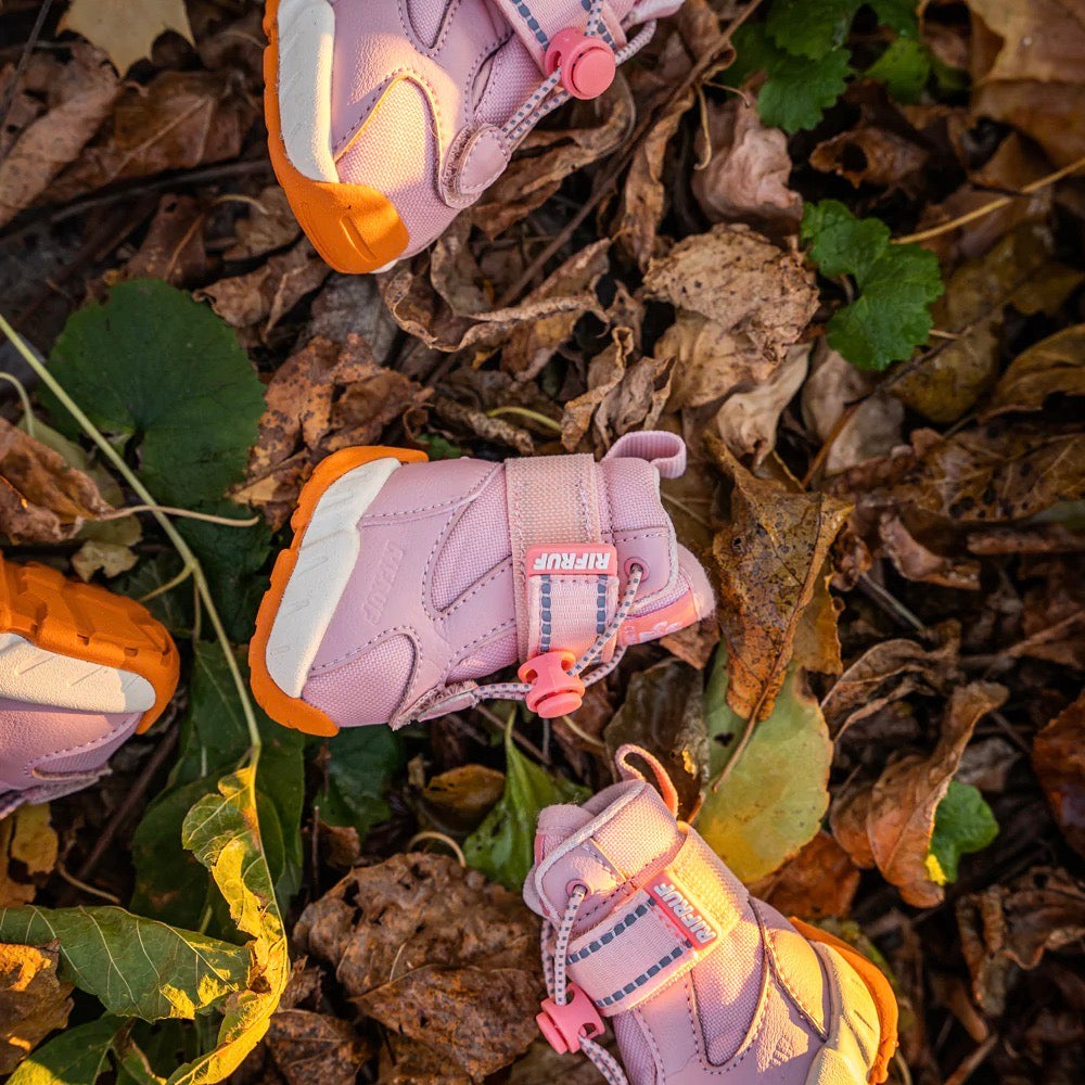 海外犬服 高品質なインポートのドッグウェア通販 