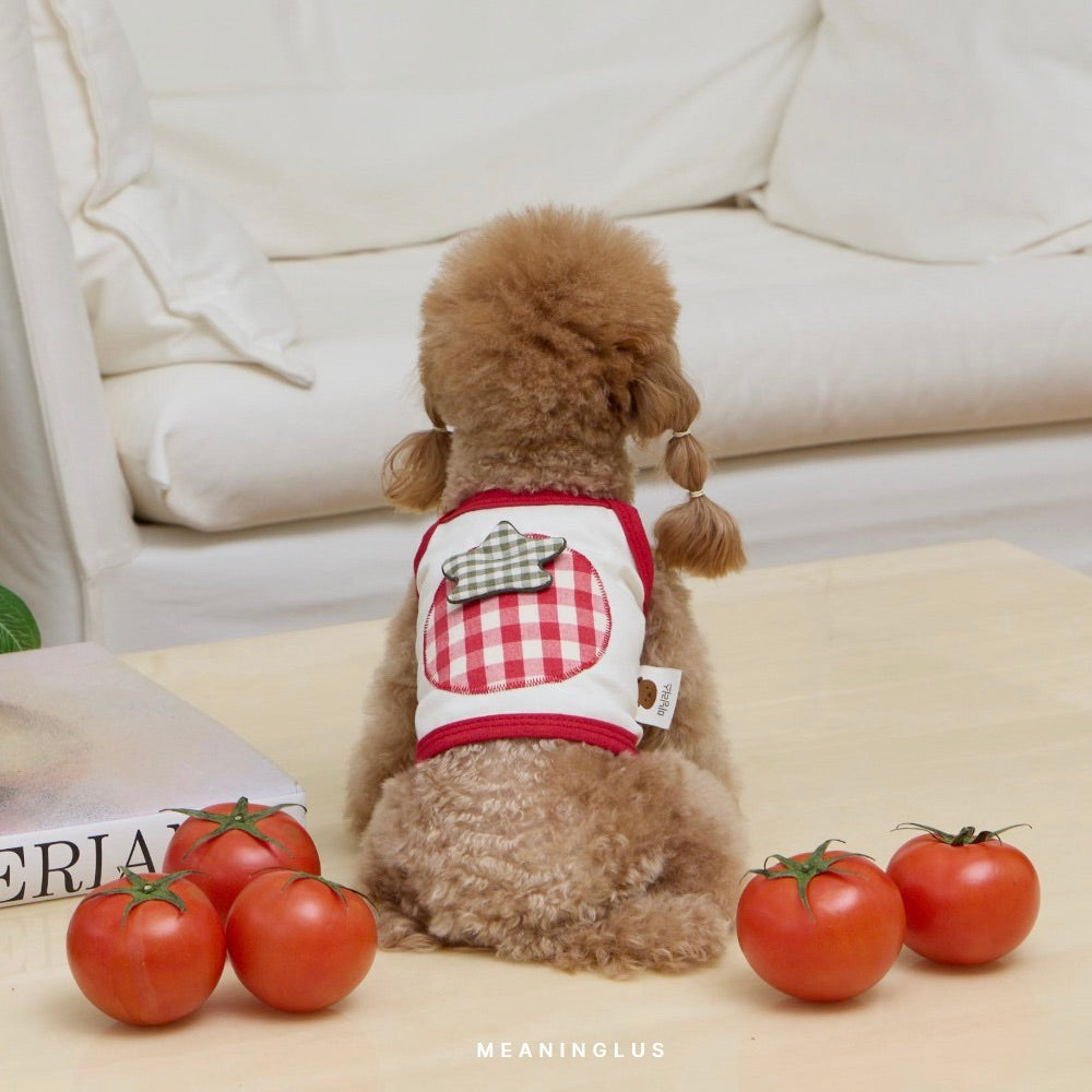 ※予約販売【meaningless】Tomato Crop