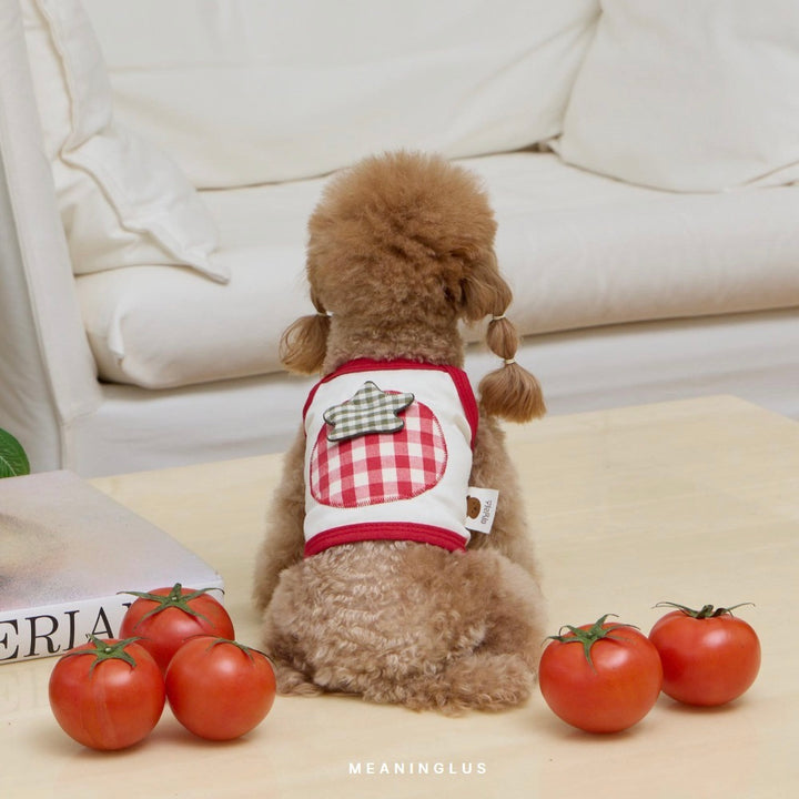※予約販売【meaningless】Tomato Crop