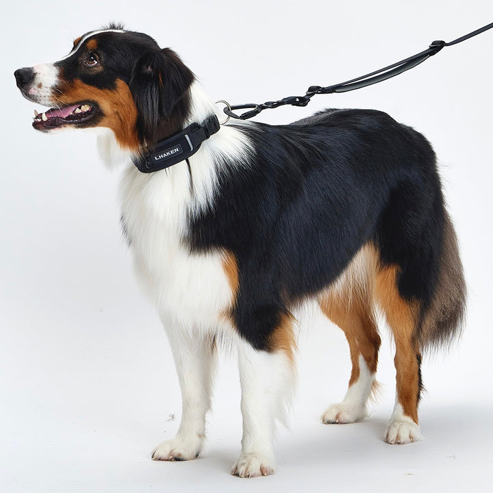 ※予約販売【munikund】TREKTAIL Collar - Black
